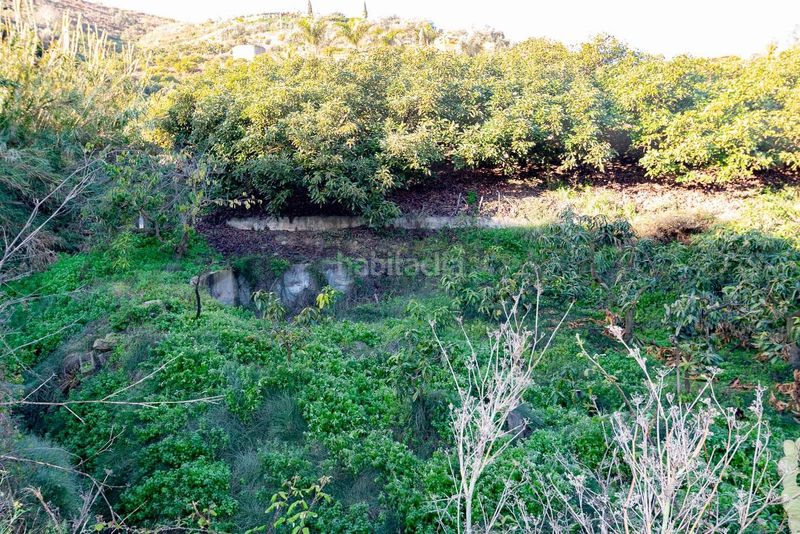 Foto 1558adfa-1e81-4558-8bd4-757353b1d702. Finca rústica parcela rústica en torrox en Avda Pescia - Ctra de Frigiliana Nerja