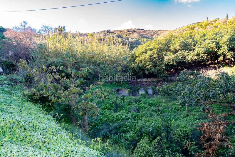 Foto 348a5e74-5ad9-42db-ba87-f85e40cfe059. Finca rústica parcela rústica en torrox en Avda Pescia - Ctra de Frigiliana Nerja