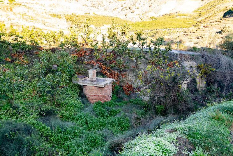 Foto cd24b4aa-feee-45f0-ba1b-d0c826771fa8. Finca rústica parcela rústica en torrox en Avda Pescia - Ctra de Frigiliana Nerja