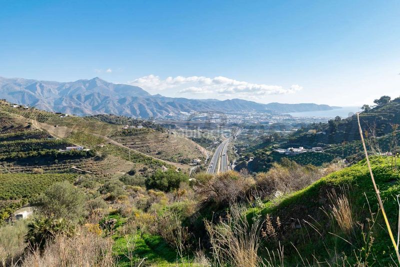 Foto f6483966-d89a-4d95-a0f0-5ac556af10e7. Finca rústica parcela rústica en torrox en Avda Pescia - Ctra de Frigiliana Nerja