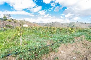 Finca rústica a Torrox Pueblo