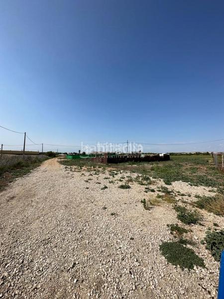 Foto 7952d406-5ecb-4c29-99f6-1dcef576b7e5. Rural plot in Parque Atlántico - Ronda este Jerez de la Frontera