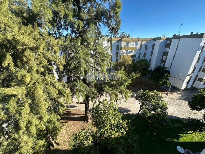 Foto 9fac2a5f-59e0-4406-b050-25edc8ab9ad1. Pis a Chapín - Campus Universitario - Navinco Jerez de la Frontera