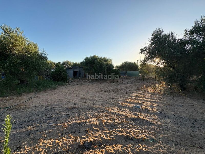 Foto 8648df03-1791-4a58-80bd-1b942761e8e8. Finca rústica a Morón de la Frontera