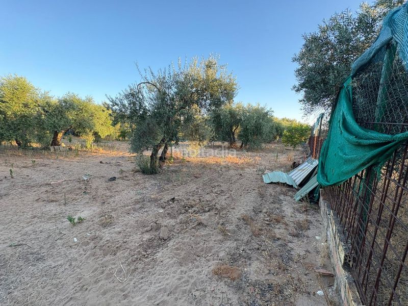 Foto eb7e2b35-edd9-40b4-a86a-368b439b9fe9. Finca rústica a Morón de la Frontera