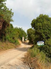 Finca rústica en Morón de la Frontera. Finca rústica en la serena  oportunidad única!