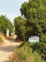 Rural plot in Morón de la Frontera. Finca rústica en la serena  oportunidad única