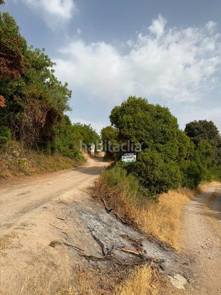 Foto c356b159-5397-46b1-994c-e067036f9fcb. Finca rústica a Morón de la Frontera