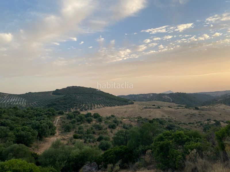 Foto c8eff7bd-1270-46ba-914b-b382383bf923. Finca rústica a Morón de la Frontera