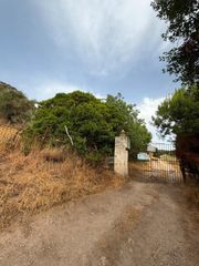 Finca rústica en Morón de la Frontera. Terreno rústico de 35 fanegas en finca la serena!