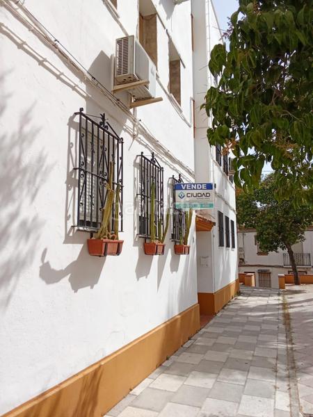 Foto 2d90cf7e-39b1-4158-99d0-8f90056df9e9. Piso oportunidad de inversión piso reformado en el barrio de la guita en Morón de la Frontera