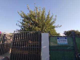 Haus in Arahal. Fabuloso campo en venta  pago redondo