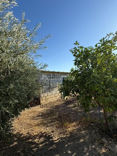 Foto 41b32a14-16eb-41d5-b13e-963d7d12c689. Masia a Morón de la Frontera