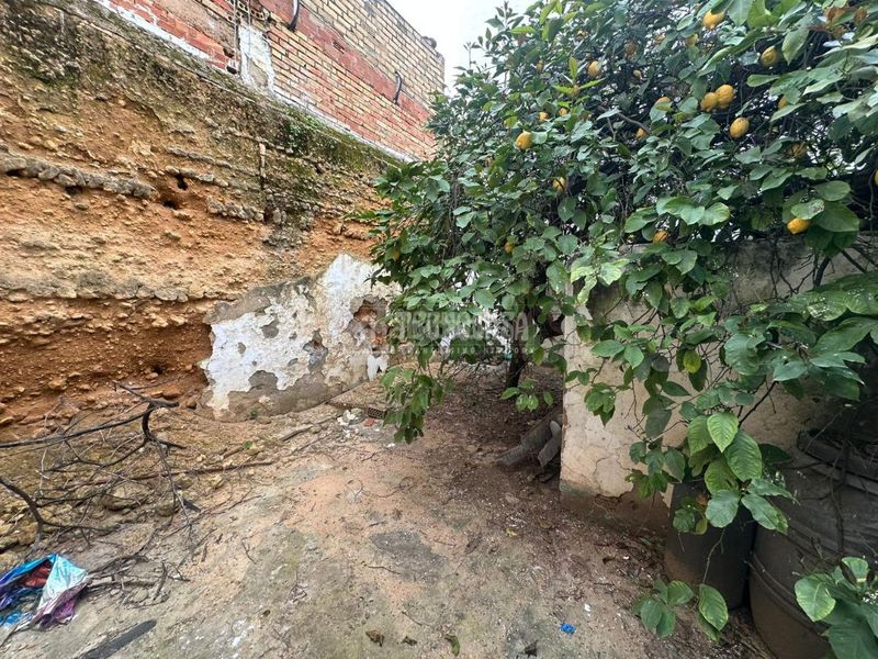 Foto 5b04e0d5-fd8a-42eb-ab55-912a4235d9ee. Pis a Viso del Alcor (El)