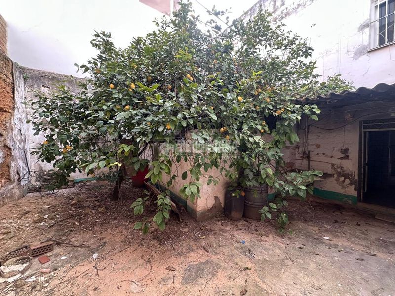 Foto bbaab224-5d80-4c96-a9b9-82932fcb5486. Pis a Viso del Alcor (El)