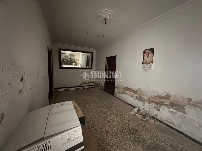 Foto e22bef3b-e86e-4132-b2e4-2c575608b199. Pis a Viso del Alcor (El)