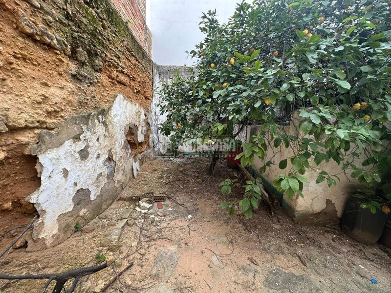 Foto fd063ba4-8d6c-4ad0-8e57-59e79e51e9b7. Pis a Viso del Alcor (El)