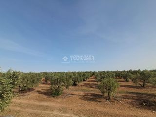 Landgut in Carmona. Terrenos en venta en carmona