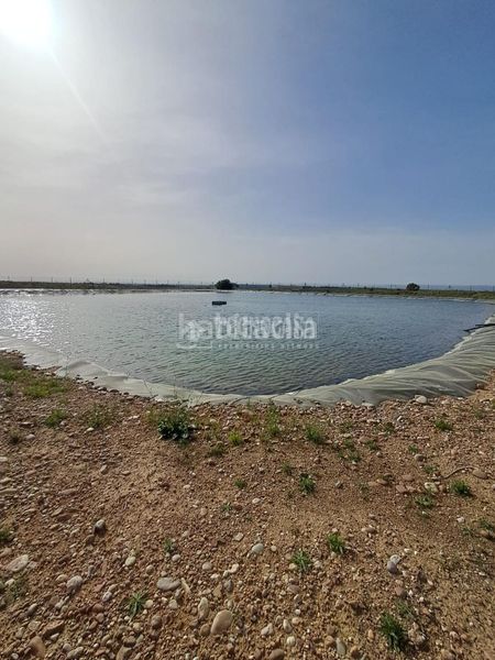 Foto d3509674-6b75-47e4-bb30-256887510bf6. Finca rústica a Carmona