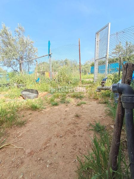 Foto 8ab0d532-b13e-43e5-8866-3e1f04c8e43b. Masia amb calefacció a Carmona