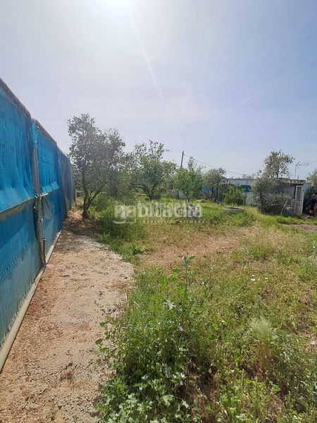 Foto d6087b65-b521-40fb-9936-534fbed2e84d. Masia amb calefacció a Carmona