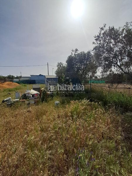Foto 9a1d7d87-3ae1-4504-b6f4-5214fc18de1c. Masia a Carmona