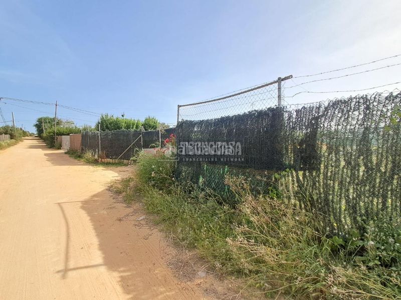 Foto fc567fed-08fa-4a1d-ae9b-c91f49585d73. Masia a Carmona