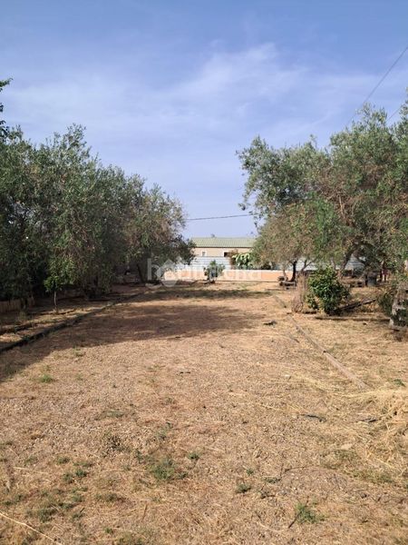 Foto 7cb632fe-e217-4131-9353-b3b3c1b43c14. Masia a Carmona