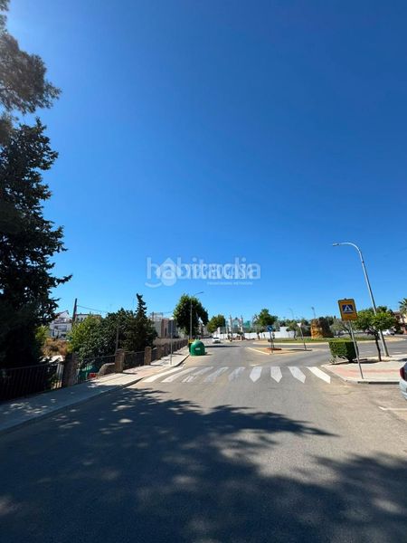 Foto 7b020c35-08d6-4c72-8ee6-ee971c3388c1. Terreny residencial a Viso del Alcor (El)