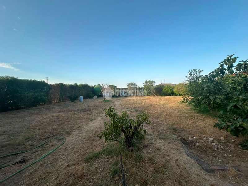 Foto 816dbc8c-567f-4347-981f-600c87dce329. Masia a Carmona