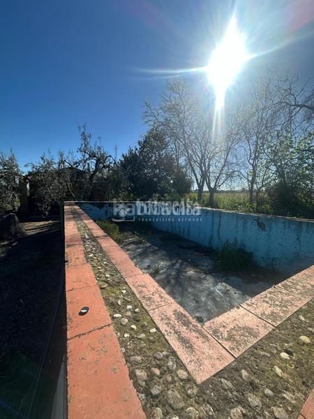 Foto 080779f7-3fea-4430-a52a-01206fb6a80b. Finca rústica a Carmona