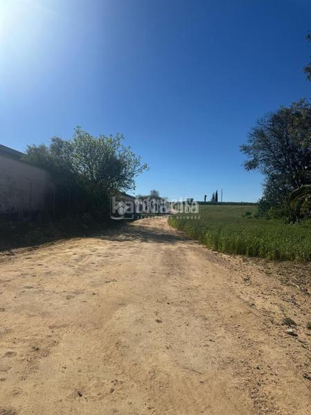 Foto 255e4c1a-813d-420c-965e-9fa18f8515d5. Finca rústica a Carmona