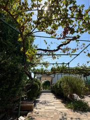 Mas à Carmona. Casa rural en venta en carmona