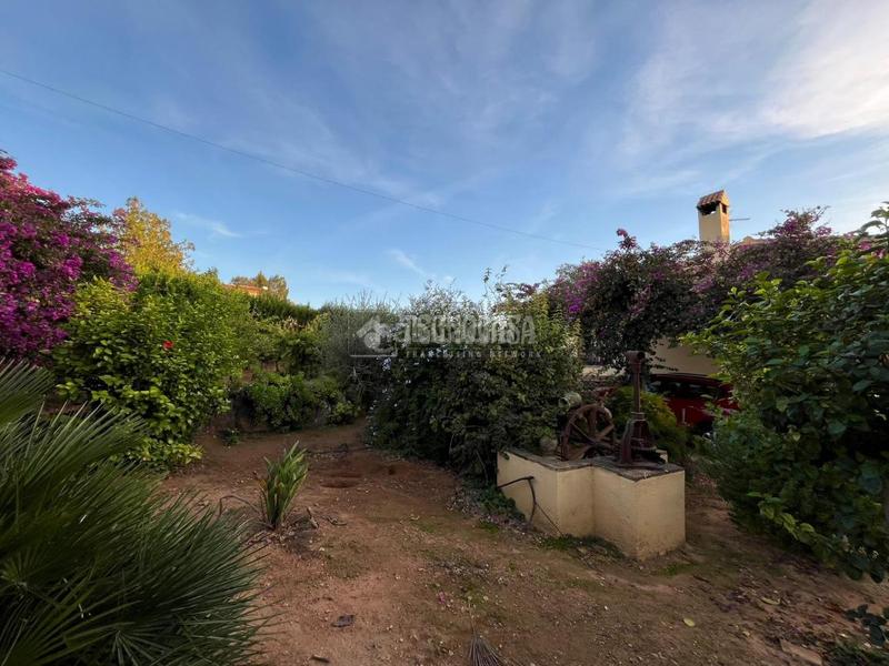 Foto 9b382efe-cea9-4982-8944-659291754003. Casa a Carmona