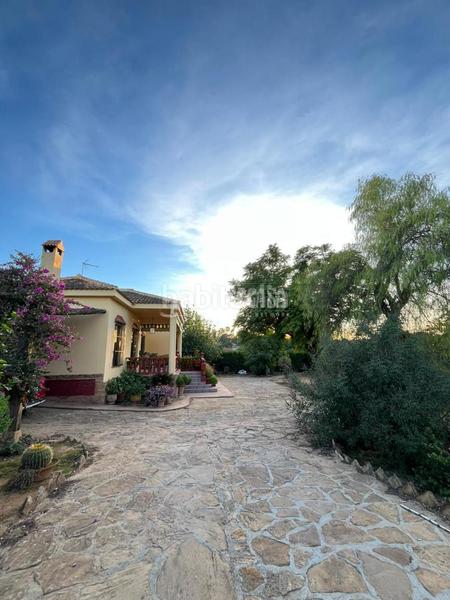 Foto d899cce0-e052-4a18-9422-66bb2d432c34. Casa a Carmona