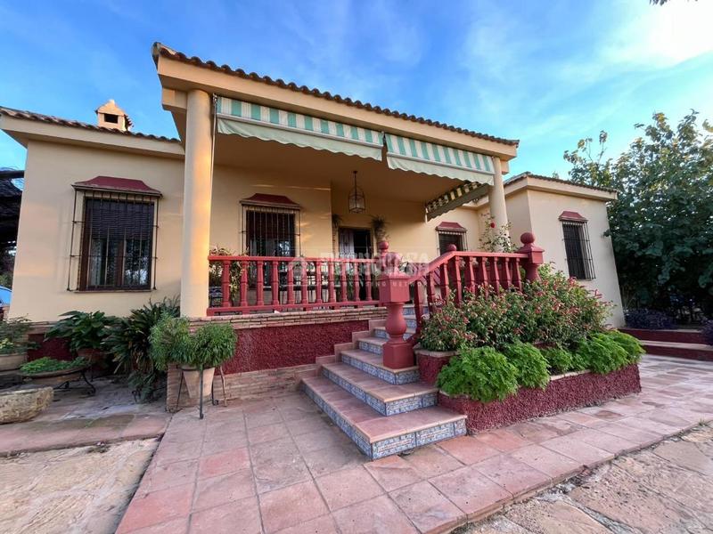 Foto f42a948d-22b7-45e5-8a53-141336f17acf. Casa a Carmona