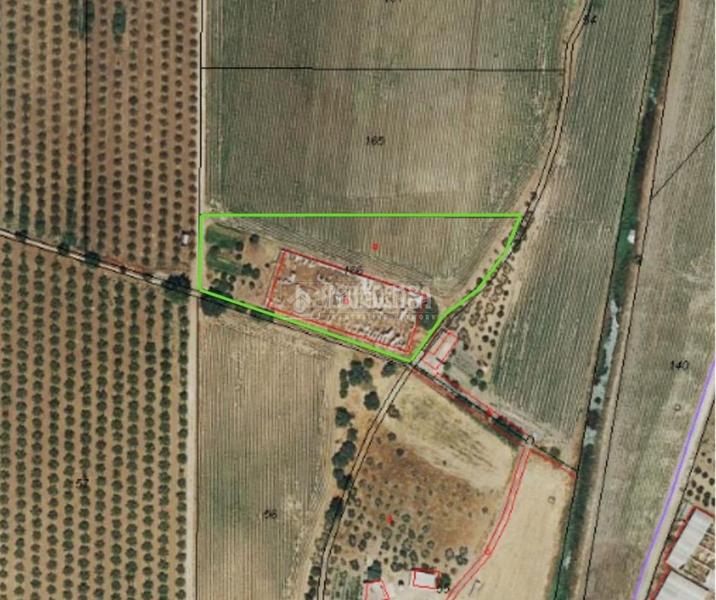Foto 1f34bc4d-1279-428a-81b4-06fb7bb4d576. Finca rústica terrenos en venta en las cabezas de san juan en Cabezas de San Juan (Las)