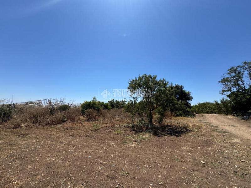 Foto 50be62f6-1f17-4c2f-8893-1239d326bd41. Finca rústica terrenos en venta en las cabezas de san juan en Cabezas de San Juan (Las)