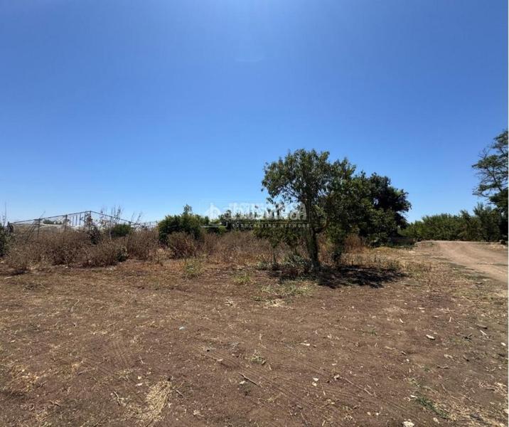 Foto 8101a764-0101-4f27-98e5-679f8bacae11. Finca rústica terrenos en venta en las cabezas de san juan en Cabezas de San Juan (Las)