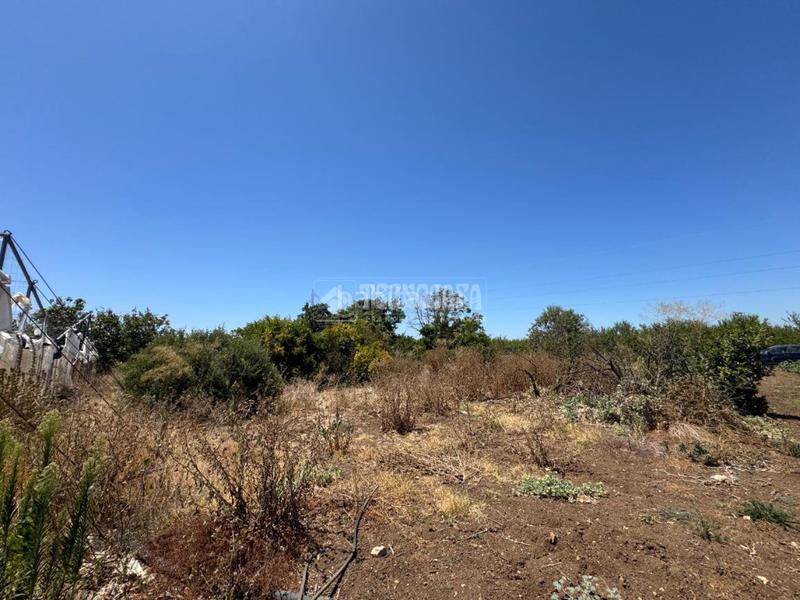 Foto 8766f64c-9a4e-474a-a2b9-3d57ab742b71. Finca rústica terrenos en venta en las cabezas de san juan en Cabezas de San Juan (Las)