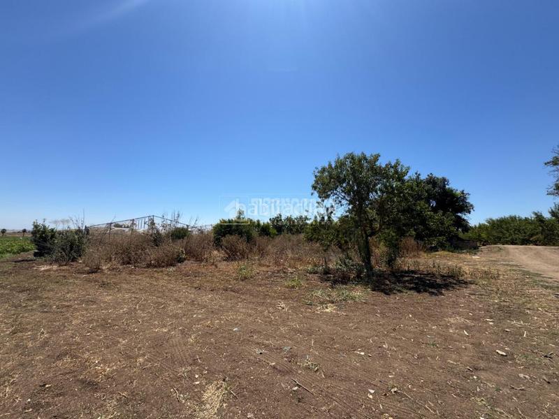 Foto 9e4b2425-4786-4179-a4b4-372e608dab96. Finca rústica terrenos en venta en las cabezas de san juan en Cabezas de San Juan (Las)