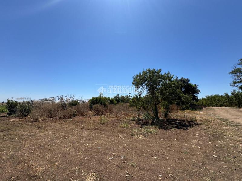 Foto a228b8f0-0afc-46bc-b03c-8990f80bcccd. Finca rústica terrenos en venta en las cabezas de san juan en Cabezas de San Juan (Las)