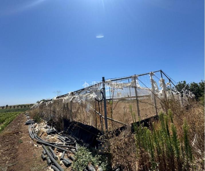 Foto c02fb74b-77c3-40dd-a7f2-4dbf0fce6e22. Finca rústica terrenos en venta en las cabezas de san juan en Cabezas de San Juan (Las)
