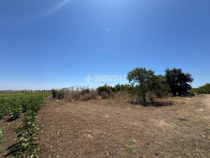Foto e99eab9c-cfca-4179-830d-575e62fa80b8. Finca rústica terrenos en venta en las cabezas de san juan en Cabezas de San Juan (Las)