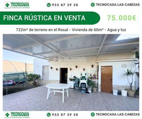 Finca rstica en Cabezas de San Juan (Las). Terrenos en venta en las cabezas de san juan