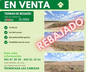 Finca rústica en Cabezas de San Juan (Las). Terrenos en venta en las cabezas de san juan