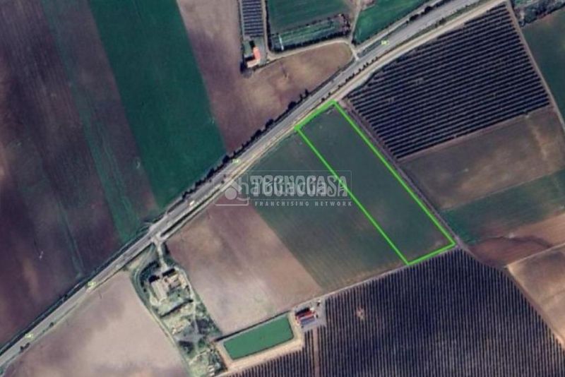 Foto 9916ca95-1c18-4838-a3f2-1b12edc0aeea. Finca rústica terrenos en venta en las cabezas de san juan en Cabezas de San Juan (Las)