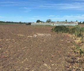 Rural plot in Cabezas de San Juan (Las). Terrenos en venta en las cabezas de san juan