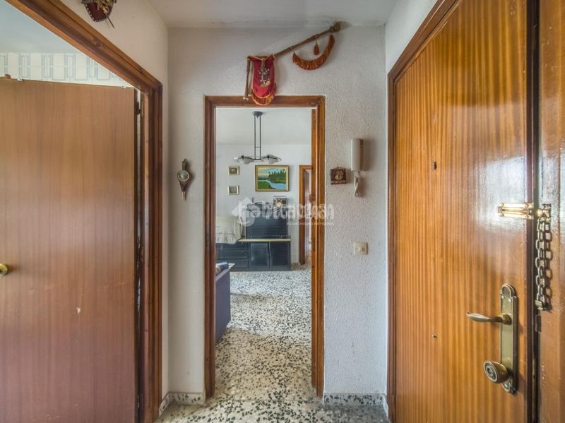 Foto adf9e626-deb4-4973-b2d1-a7341de0e2a1. Pis a Campo Real