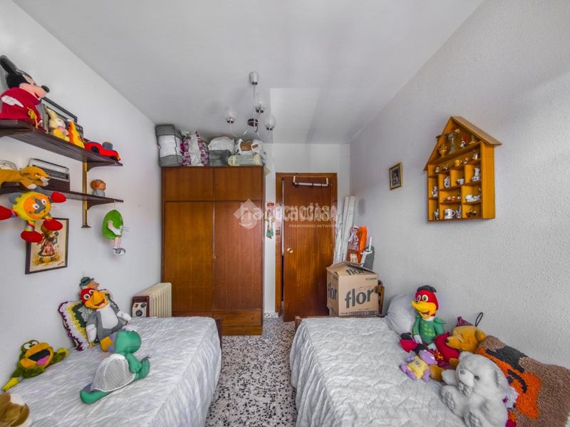 Foto d2a63db3-62bd-4cac-9f9c-177054f14b9b. Pis a Campo Real